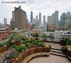 Rooftop Garden Rooftop Garden Cityscape 5 Jpg America Chicago Cityscapes Gardens Urban Garden Roof Garden Design Rooftop Garden