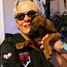 Campeche Cove Apartments in Galveston