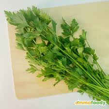 Daun sup / parsley, daun ketumbar / coriander or cilantro dan daun saderi / celery. Daun Sup Chinese Celery