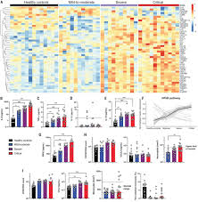 Een streepje is verplicht als het tweede woorddeel met een a, e, i of u begint (vanwege klinkerbotsing). Impaired Type I Interferon Activity And Inflammatory Responses In Severe Covid 19 Patients Science