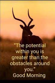 28 Inspirational Good Morning Quotes And Wishes With Beautiful Images 4ae In 2021 Good Morning Friends Quotes Happy Morning Quotes Beautiful Morning Quotes