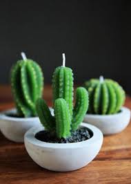 Is there anything else you need? Little Cactus Candles 1 Cactus Candles Handmade Home Decor Cactus