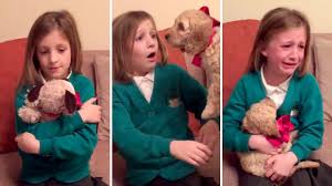 It's softer than soft, and this teddy has been tested out in the real world by real kids, and they've said that it's the one to go. See This Girl S Amazing Reaction As Her Stuffed Animal Transforms Into A Real Life Puppy