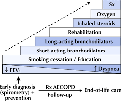 Image result for COPD Management