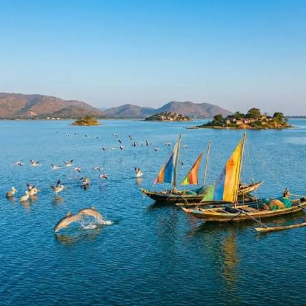 Satapada Chilika