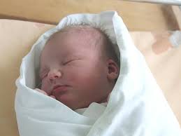 Fotogalerie: Novorozená miminka Vyškovska 33. týdne 2016