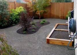 The probable (icky) culprit is pet urine. Dog Yard Design Landscape Seattle After Jpg 367 259 Pixels Dog Friendly Backyard Dog Yard Landscaping Dog Backyard