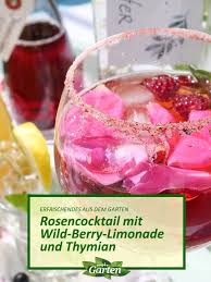 Rosencocktail Ohne Alkohol In 2020 Garten Kuche Mdr Garten Berry