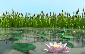 We did not find results for: Swamp Plants 3d Model