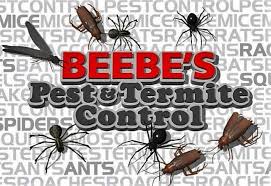 When a person sits on them, they latch onto their clothes and then travel back home with them and then disappear in the mattress when that person lies down. Pest Control Services Beebe S Pest Termite Control