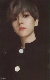 Baekhyun City Light Photocard Baekhyun Exo Baekhyun Byun Baekhyun