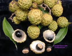 Pin On Exotic Fruit