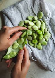 40 Seasonal Recipes To Make This Spring Fava Beans Salad Fava Beans Seasonal Recipes