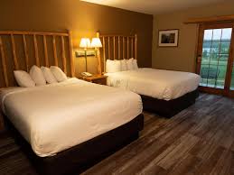 Image result for Elymandra grallata