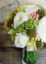 Coxcomb Celosia Botanical Brouhaha Wedding Cakes With Flowers Beautiful Flowers Flowers Bouquet