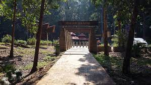 #41 hutan lipur ulu kenas. Mohd Faiz Bin Abdul Manan Hutan Lipur Pasir Panjang