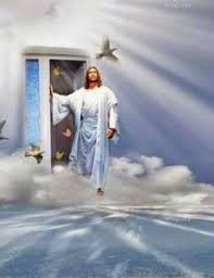 Obituary for Thomas Stuart Fulcer