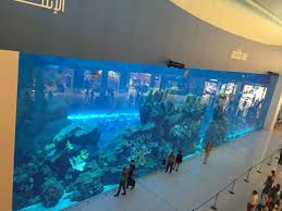 Dubai aquarium & underwater zoo, offers fascinating insight into the marine life by showcasing 300+ species of marine animals, including sharks & rays. Dubai Mall Aquarium Dubai Mall Aquarium Dubai