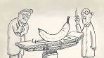 Waarom zijn bananen krom? - YouTube
