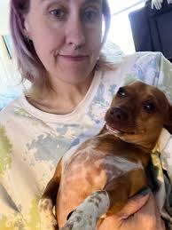 Chiweenie brings joy and love