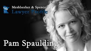 Pam Spaulding Lawyer Profile