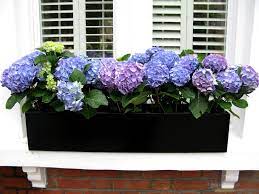 Pots Planters Window Boxes The London Gardener Window Box Flowers Window Planter Boxes Window Planters