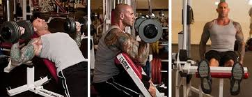 Bodybuilding Workout For Beginners By Dr Jim Stoppani Phase 3 Bodybuilding Com Bodybuilding For Beginners Bodybuilding Plan Bodybuilding Program