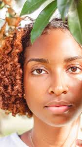 Stickman Productions