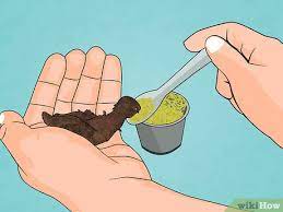 How To Find And Take Care Of Wild Bird Eggs: 8 Steps