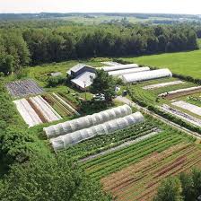 Market Gardening Mother Earth News Farm Plans Organic Vegetable Garden Farm Layout
