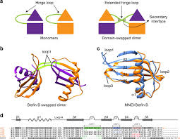 | do not sell my personal information. A Five Residue Motif For The Design Of Domain Swapping In Proteins Nature Communications