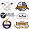 Downloading world gym™ file vector logo you agree to abide to our terms of use. 1