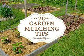 20 Garden Mulching Tips From Seasoned Growers Mulching Vegetable Garden Tips Landscaping Tips