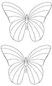 Black And White Striped Butterfly Uk Pin On Great Templates