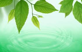 Maybe you would like to learn more about one of these? Wallpaper Water Macro Circles Background Green Widescreen Wallpaper Leaves Wallpaper Widescreen Water Background Spring Full Screen Hd Wallpapers Widescreen Images For Desktop Section Makro Download