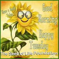The best gifs of blessing on the gifer website. Tuesday Blessings Gifs Get The Best Gif On Giphy