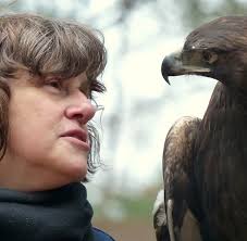 Connecting to Wild Plants