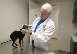 Enter your zip code & find info on low cost vet. South Toledo Pet Care Clinic Aims To Ease Financial Woes The Blade