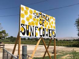 Sunflower farms play an important role in the world economy and the oncoming oil crisis may determine a further importance of sunflower farms if petroleum product alternatives are more fully. Sunflower Summer U Pick Veggie Event Going On At Reno S Ferrari Farms