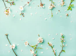 Blue sparkle lights engagement party invitation | zazzle.com. Photos Spring Almond Blossom Flowers Over Li 166605 Youworkforthem