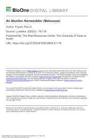 Image result for Abutilon englerianum