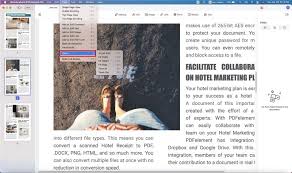 There are many pdf viewer software in the market. Sumatra Pdf Reader How To View Pdf On Windows