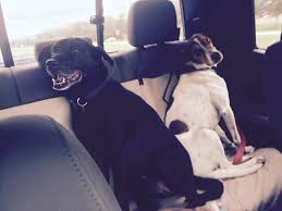 Profile for Melissa Parrott