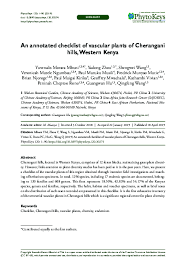 Image result for Thesium ussanguense