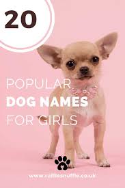 Of course they are mainly first names or christian names as they are known in some countries, but there are some scotland family or scottish surnames also, but all can be used as baby names. 20 Popular Names For Girl Dogs