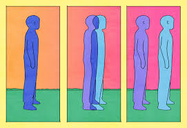 Image result for Dissotis trothae