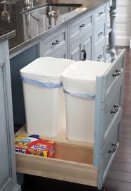 Hidden Pull Out Trash Cans For My Kitchen Kitchen Upgrades Home Kitchens Kitchen Renovation