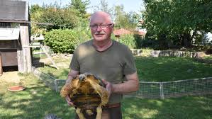 Weitere ideen zu garten, gartenprojekte, pflanzen. Heidecks Fruherer Burgermeister Der Mit Den Schildkroten Spricht Heideck Rudletzholz Nordbayern