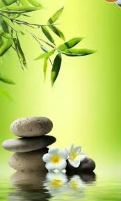 Pin By Lisa Renevey On Cores E Mais Cores Zen Wallpaper Zen Pictures Zen Garden
