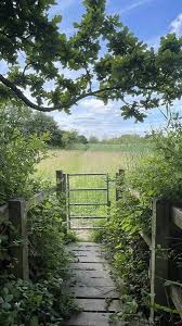 Lawrence Western Moor Loop